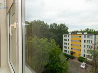 Galeria - Dąbrowa Górnicza