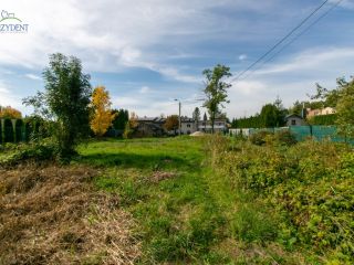 Galeria - Sosnowiec